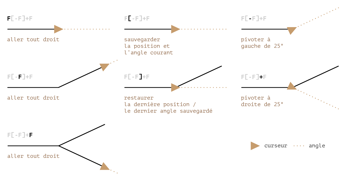 Embranchement d'une plante fractale