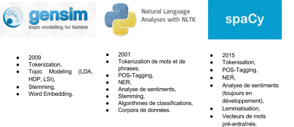 Figure 1. NLP Python librairies.
