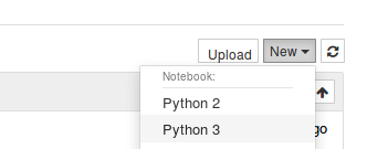 Figure 1. Screenshot illustrating the generation of a new python 3 notebook.